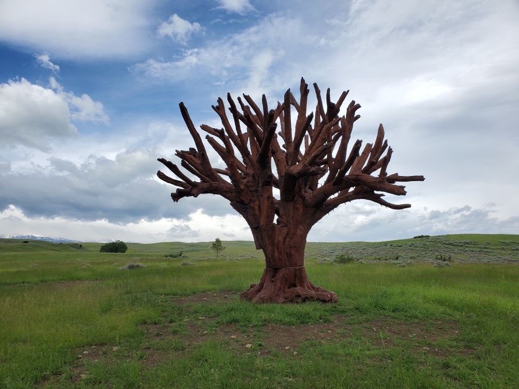 Iron Tree Ai Weiwei.20230618_094450